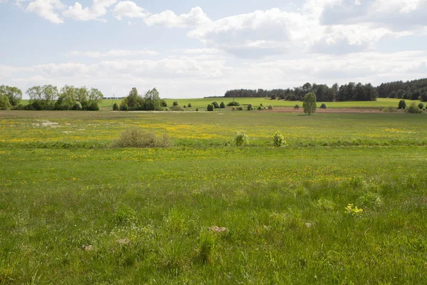 Felder und Wiesen — Stockfoto