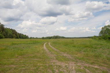 Manzara - bir yaz gününde bir çayır