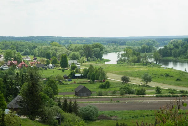 Castle Hill Mielnik Köyü Polonya Bölgesinde Nehir Hatadan Görünümünü — Stok fotoğraf