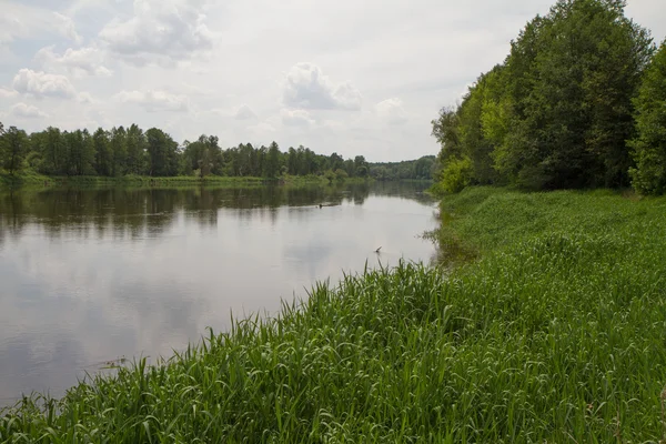 Rzeka Bug Polska — Zdjęcie stockowe