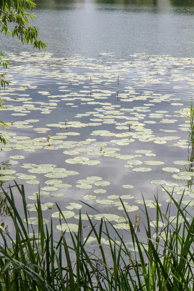 Czos See Der Stadt Mragowo Mazury Region Polen — Stockfoto