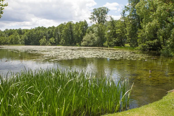 Lago Czos Nella Città Mragowo Regione Mazury Polonia — Foto Stock