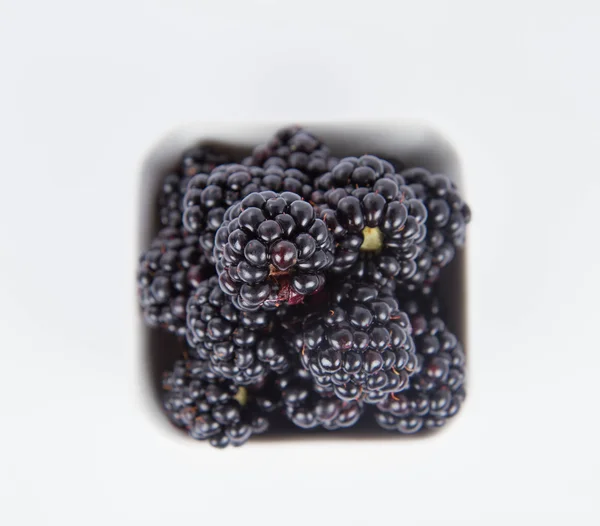 Blackberries Bowl Fruit White Background — Stock Photo, Image