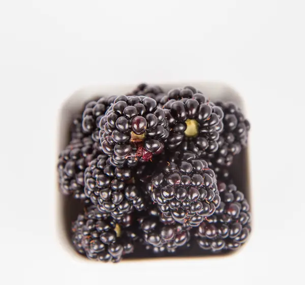 Blackberries on white background — Stock Photo, Image