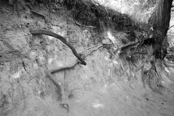 The Roots Gorge — Stock Photo, Image