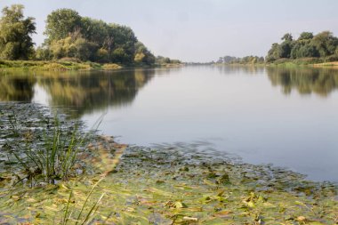 Warta Nehri, Polonya (uzun pozlama)