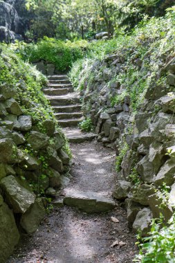 Parktaki taş basamaklar ve patika