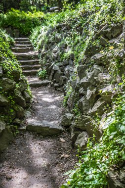 Parktaki taş basamaklar ve patika