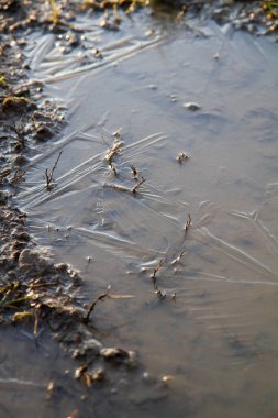 Yakınlarda donmuş bir su birikintisi.