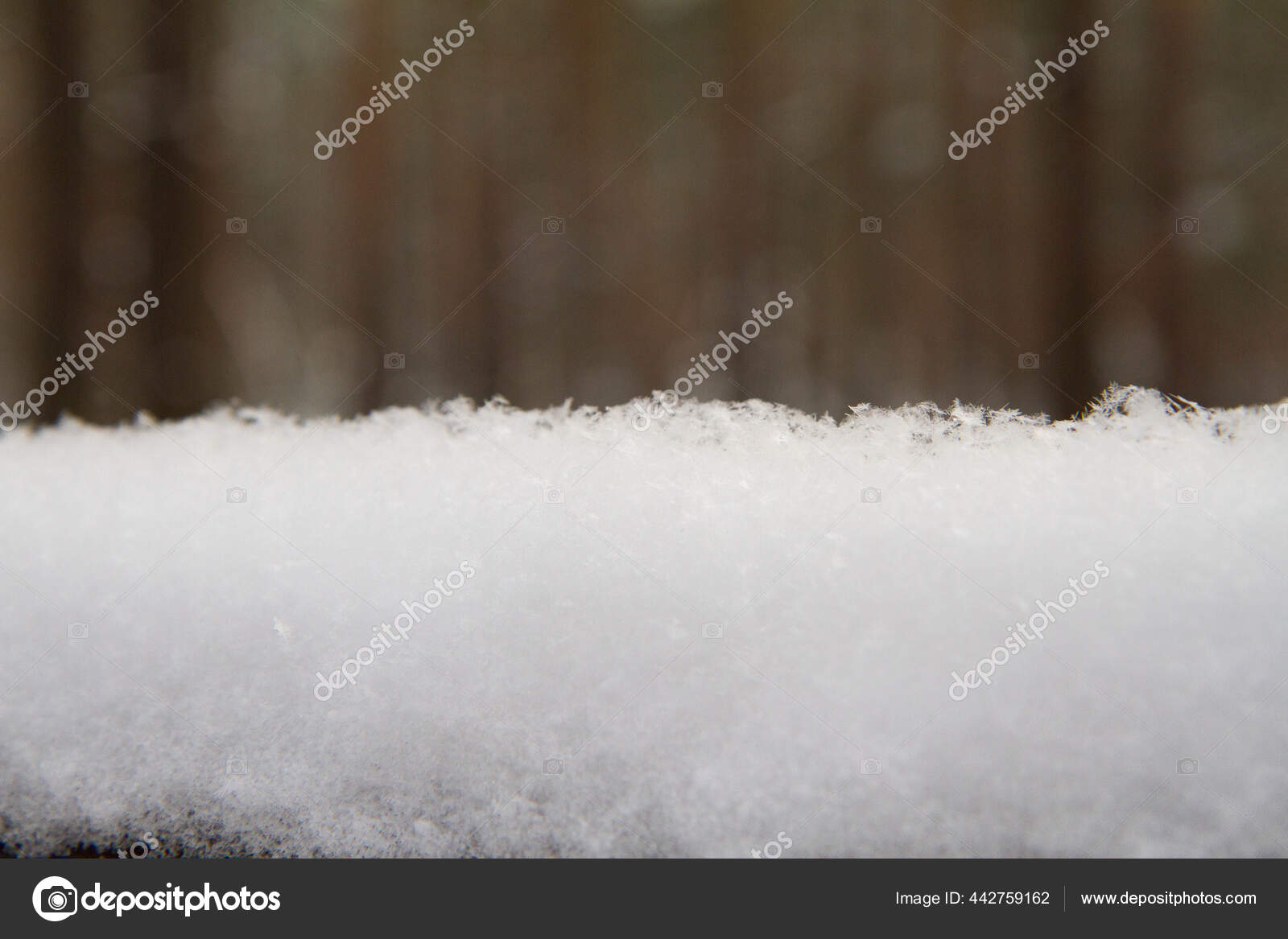 背景に森と新鮮な雪の層 冬の背景 ストック写真 C Teine26 背景に森と新鮮な雪の層 冬の背景 ストック写真 C Teine26