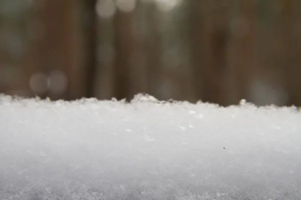 Arkasında Orman Olan Taze Kar Tabakası Kış Arkaplanı — Stok fotoğraf