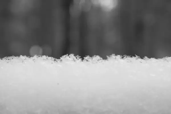 Laag Van Verse Sneeuw Met Bos Achtergrond Winterachtergrond — Stockfoto