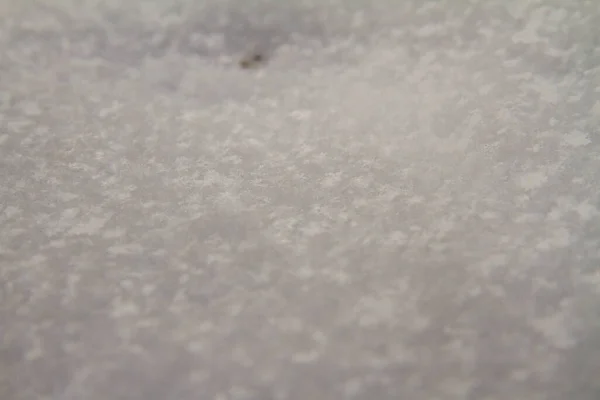 Śnieg Bliska Świeży Biały Śnieg Tekstury Tło Zimowe — Zdjęcie stockowe