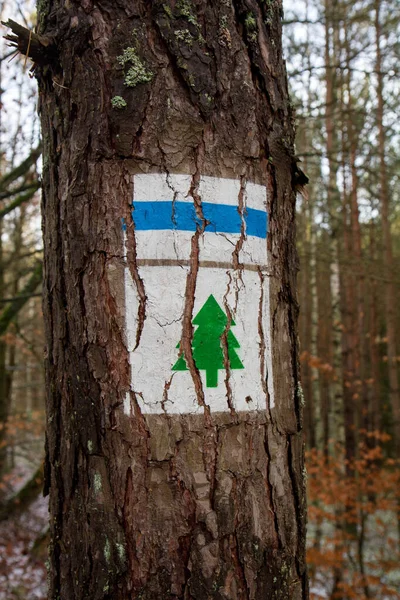 Symboles Chemin Randonnée Sur Arbre Forme Arbre Noël Sentier Bleu — Photo