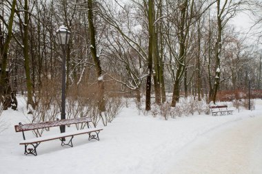 Kış mevsiminde karla kaplı bir parkta