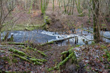 Kışın bir ormanda eski bir köprünün kalıntıları görünen bir dere.