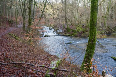 Kışın bir ormanda eski bir köprünün kalıntıları görünen bir dere.