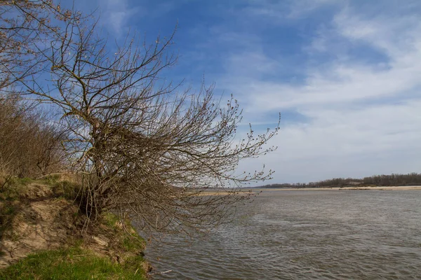 Río Vístula Polonia — Foto de Stock