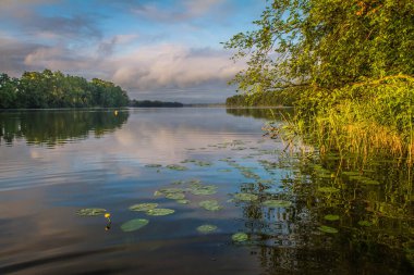 Gün batımında göl. Yüzeyde açan sarı çiçekli bitkiler.