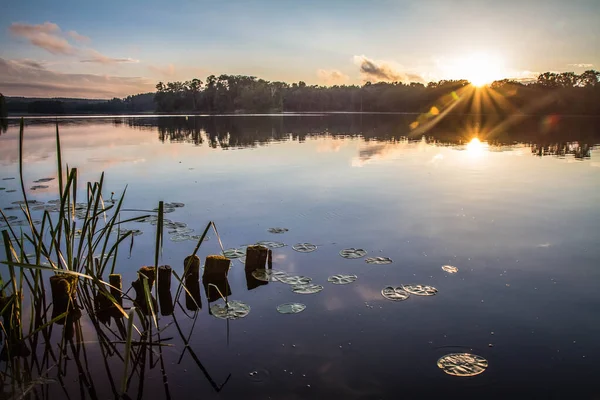 Lac Coucher Soleil Avec Plantes Aquatiques Vestiges Vieux Pont Visible — Photo