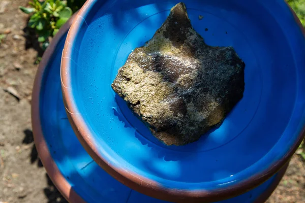 在花园里用花盆做的鸟的食客 — 图库照片