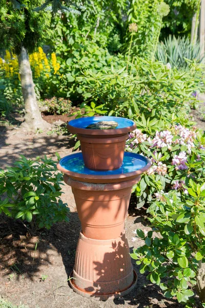 Bird Insect Waterer Made Flower Pots Garden — Stock Photo, Image