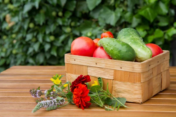 Homegrown Vegetables Basket Wooden Table Rural Scene — Stock Photo, Image