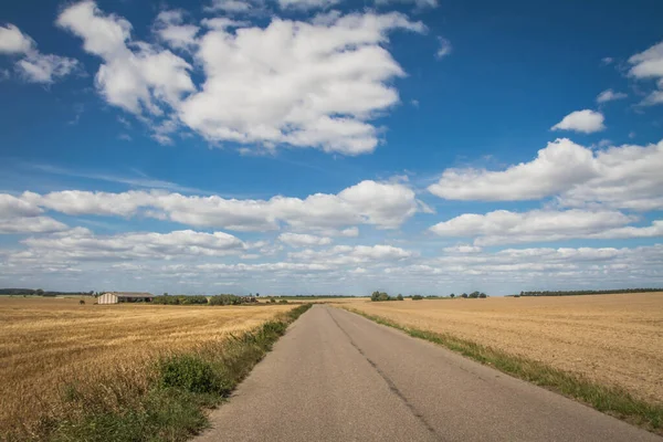 Camino Entre Los Campos Después Cosecha Finales Del Verano —  Fotos de Stock