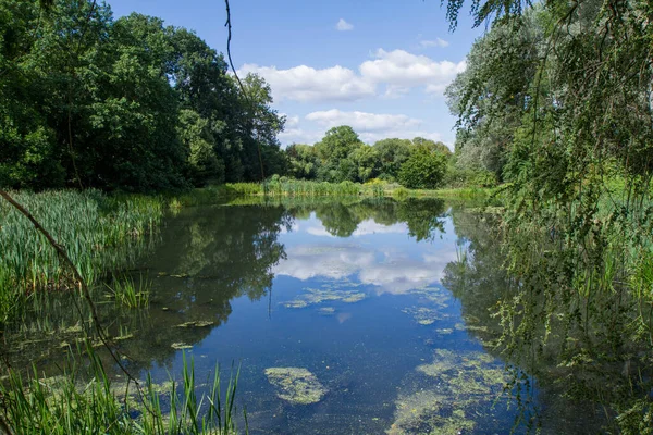 吹き流しと木々に囲まれた池 — ストック写真
