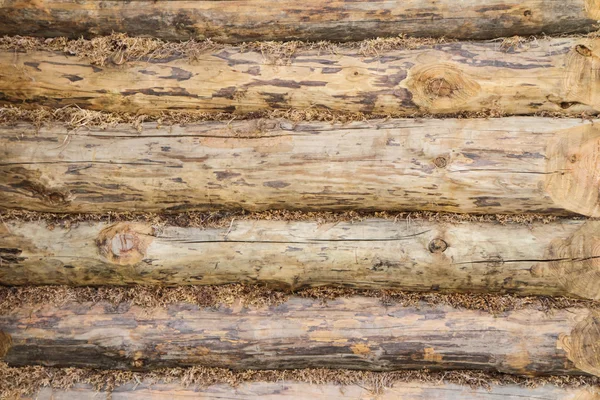 Dřevěná stěna — Stock fotografie