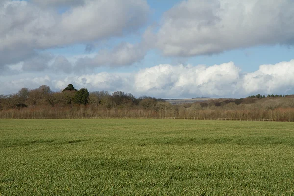 Landschap — Stockfoto