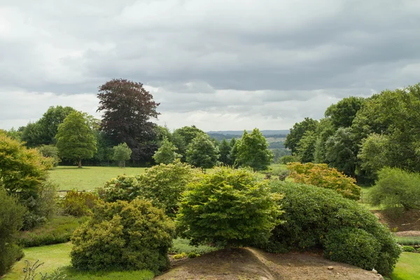 Paisagem Inglesa Verão — Fotografia de Stock