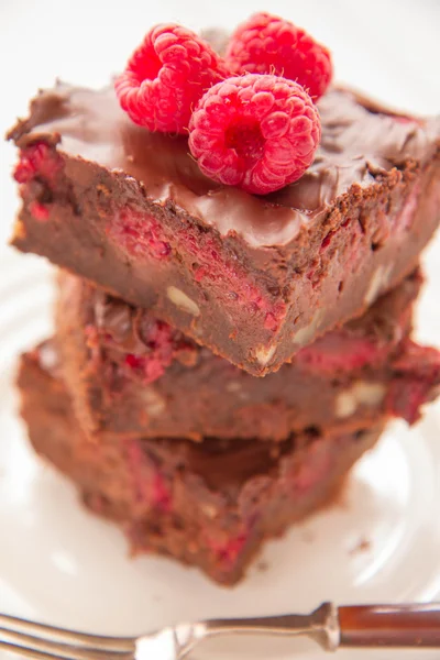 Brownie con frambuesas —  Fotos de Stock