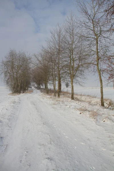 Eine Winterlandschaft — Stockfoto