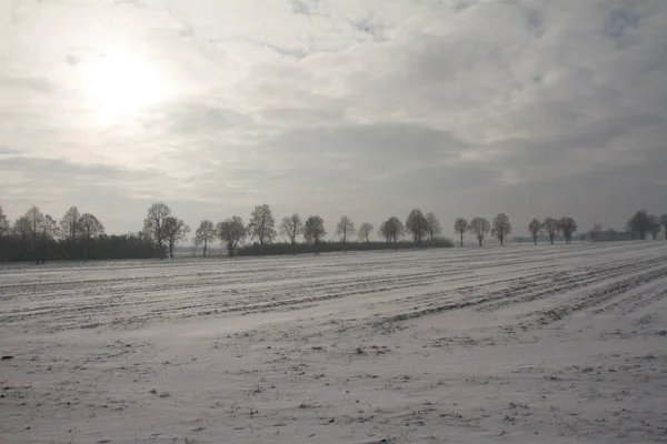 Eine Winterlandschaft — Stockfoto