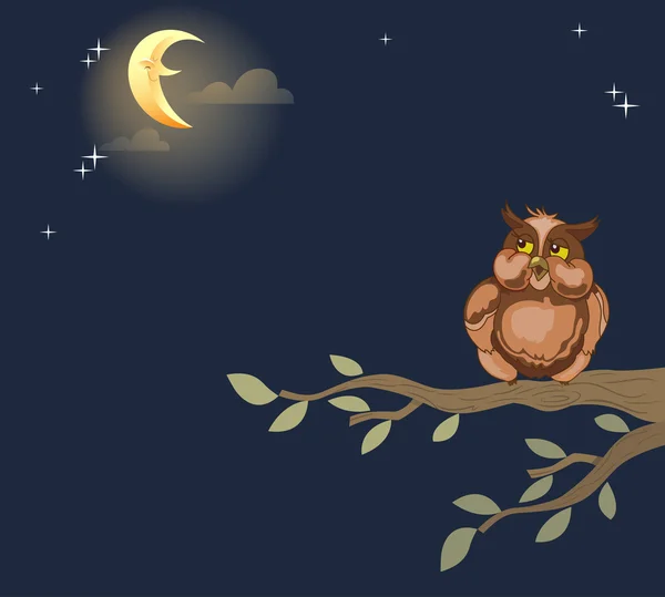 Night owl — Stock Vector