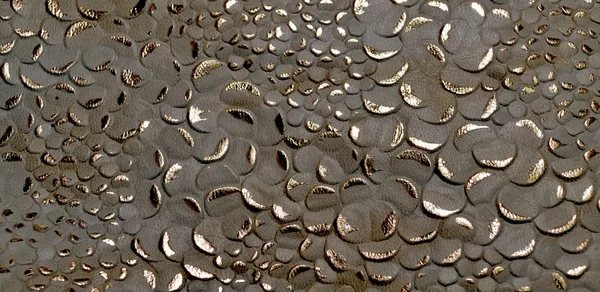 Texture foncée et motif doré — Photo