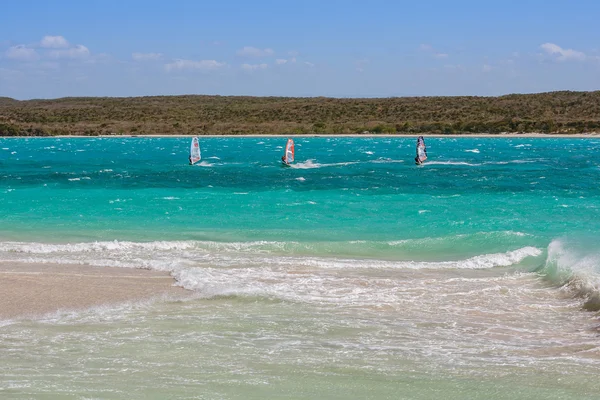 Windsurfisti in laguna — Foto Stock