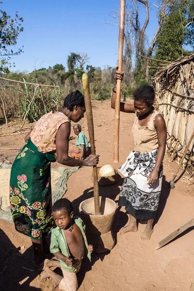 Les femmes au pilon — Photo