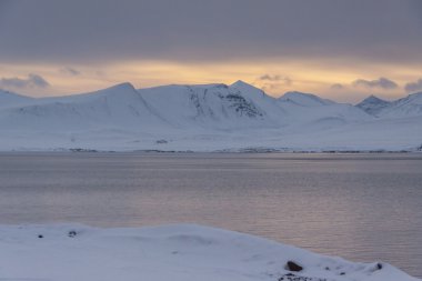 Barentsburg - Spitsbergen Rus Köyü