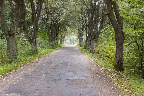 Paisaje polaco - otoño — Foto de Stock