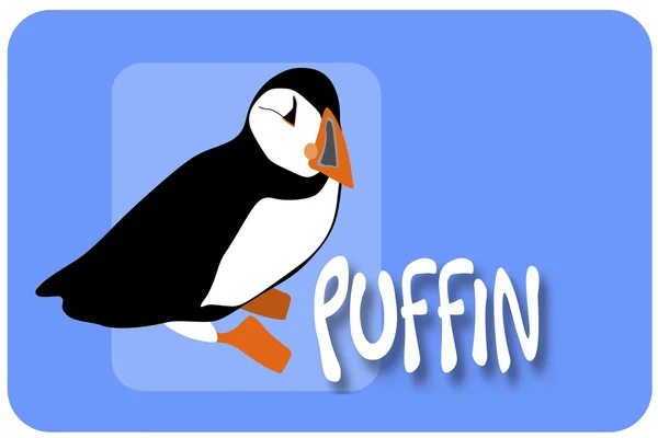 Puffin bird on blue background — Stock Vector