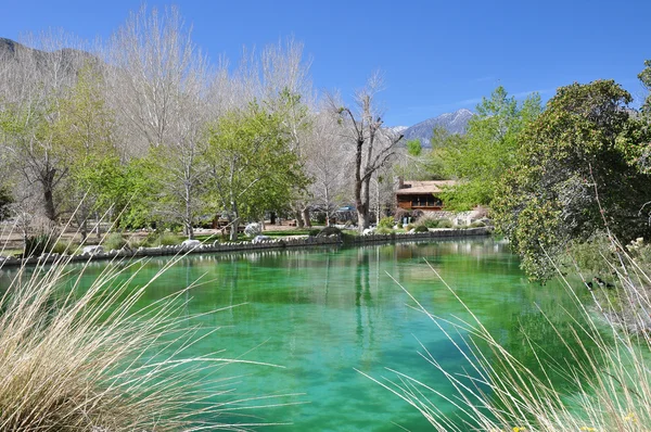 Desert Pond — Stock Photo, Image