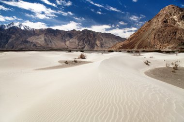 Kum tepelerine Nubra Vadisi - Ladakh - Jammu ve Keşmir
