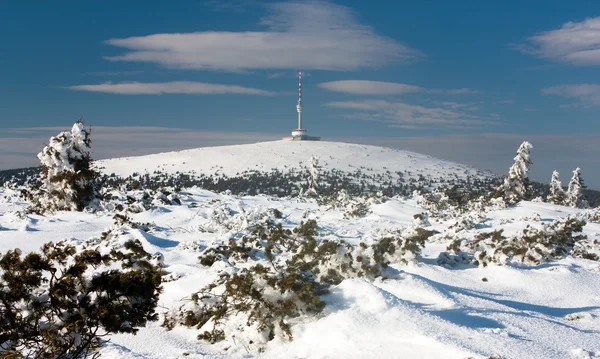 Vista del monte Praded - Jesenik - República Checa — Foto de Stock