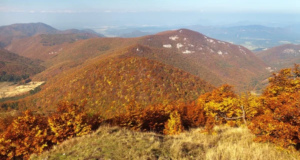 Vy från berget Strazov, Strazovske vrchy, Slovakien — Stockfoto