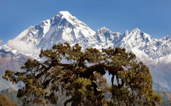 Panoramatic view from Jaljala pass to Dhaulagiri Himal — Stock Photo, Image