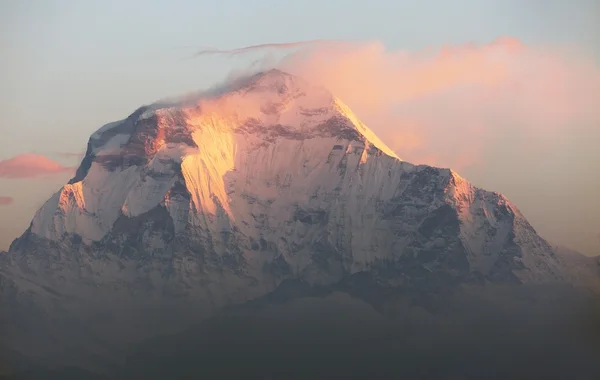 Morgon panoramautsikt över berget Dhaulagiri — Stockfoto