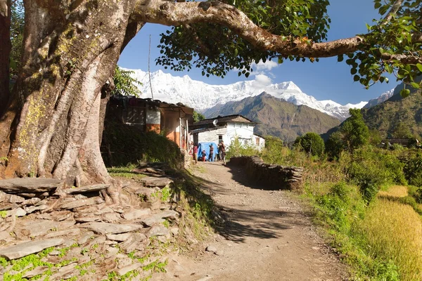 Život pod Himálaj - Dhaulagiri himal — Stock fotografie