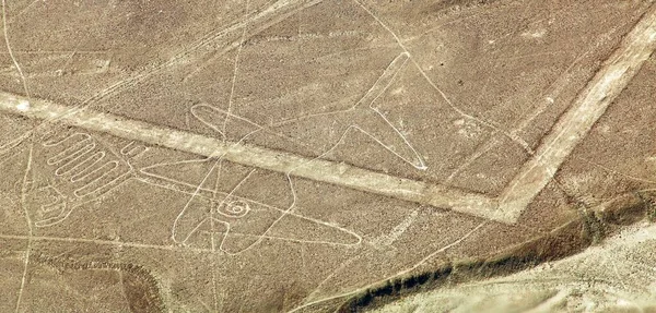 Whale Nazca Nasca Mysterious Lines Geoglyphs Aerial View Landmark Peru — Stock Photo, Image